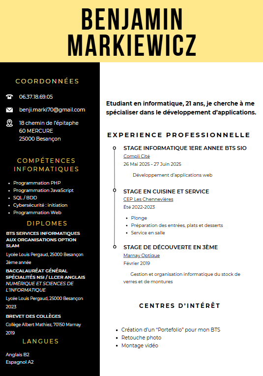 CV de Benjamin Markiewicz